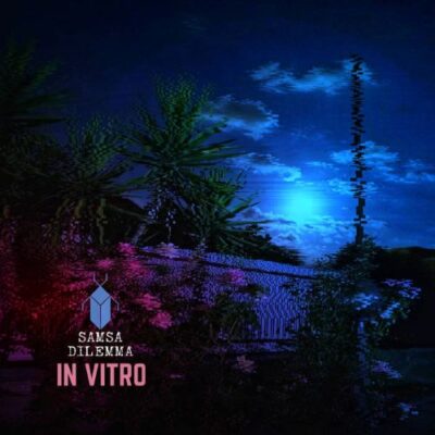In Vitro - Samsa Dilemma